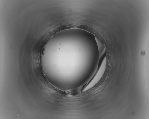 X0000091970818200709201403