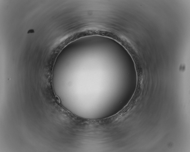 X0000091970822200709201403