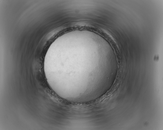 X0000091970823200709201403