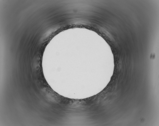 X0000091970824200709201403