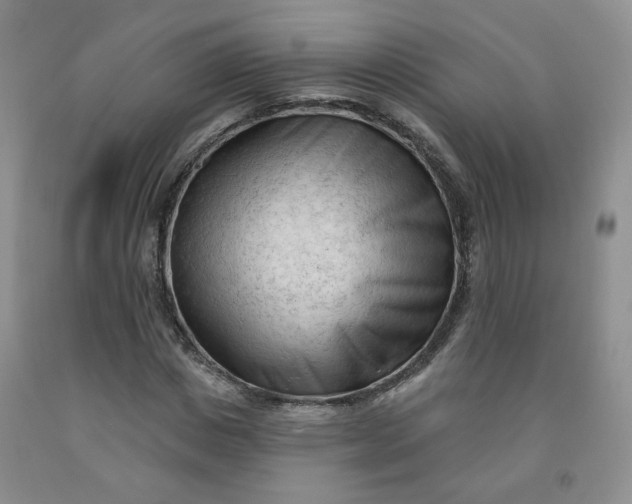 X0000091970825200709201403