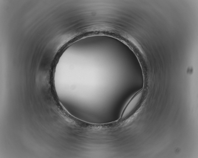 X0000091970826200709201403