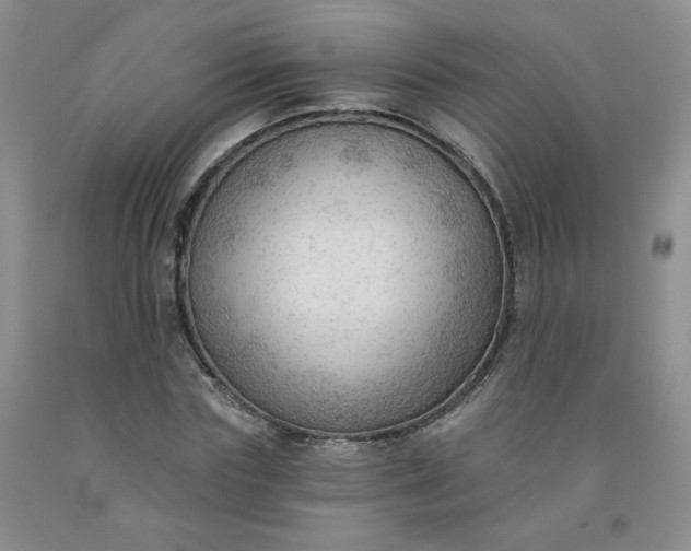 X0000091970827200709201403