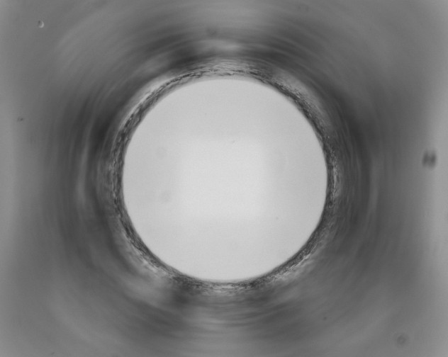 X0000091970828200709201403