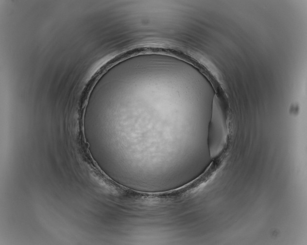 X0000091970829200709201403