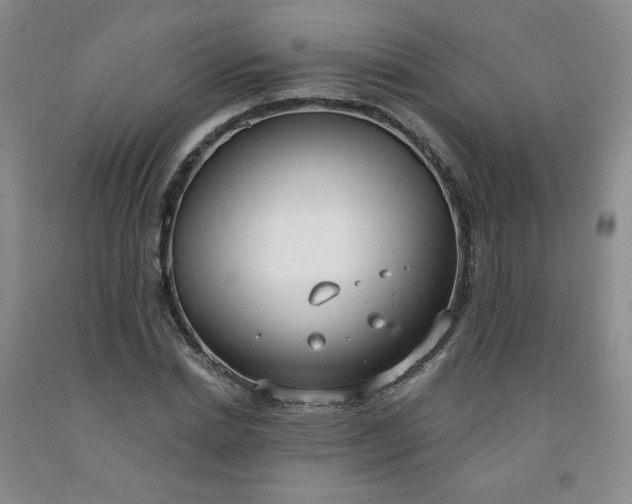 X0000091970830200709201403