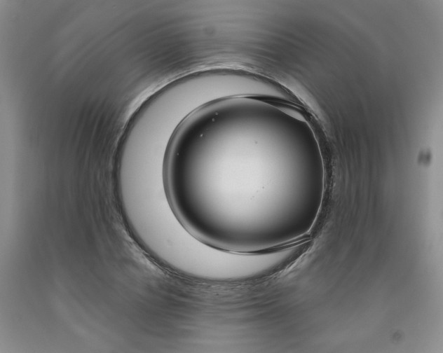 X0000091970834200709201403