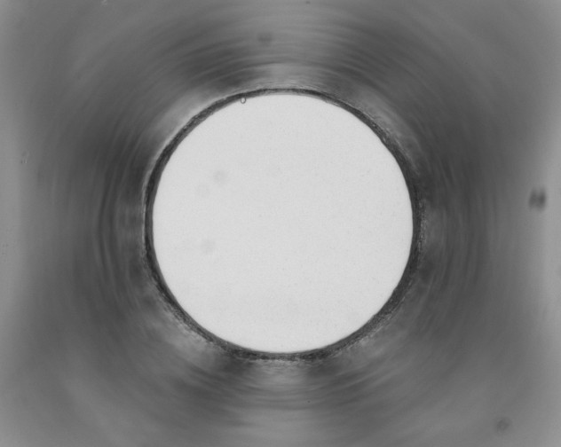 X0000091970836200709201403