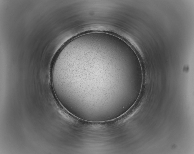 X0000091970837200709201403