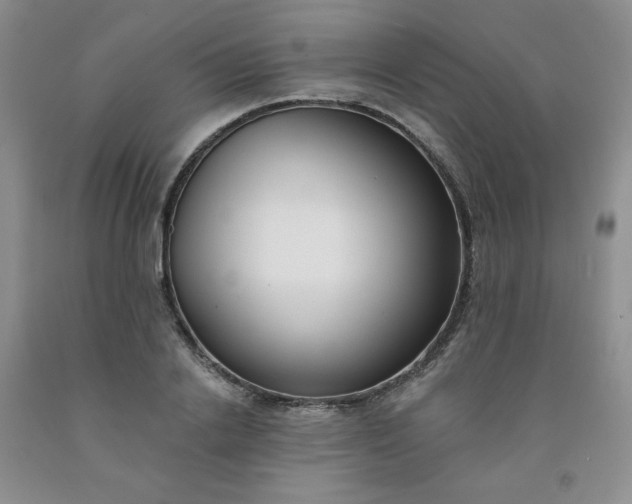 X0000091970838200709201403