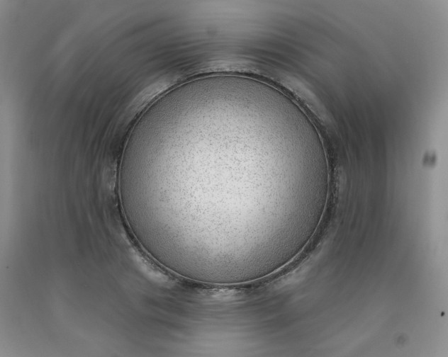 X0000091970841200709201404