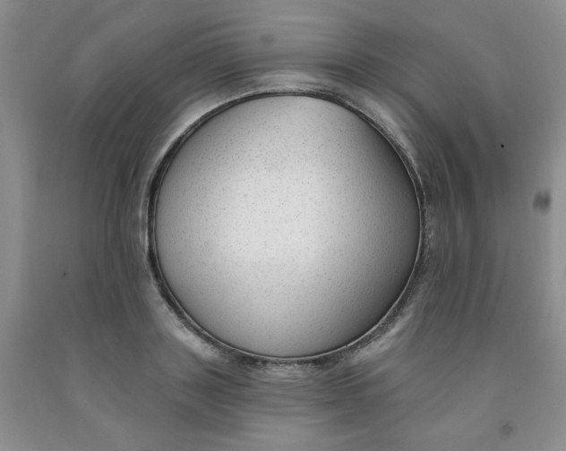 X0000091970843200709201404