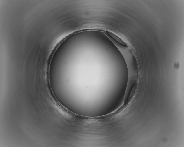 X0000091970846200709201404