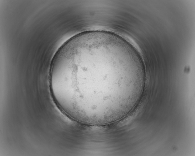 X0000091970847200709201404