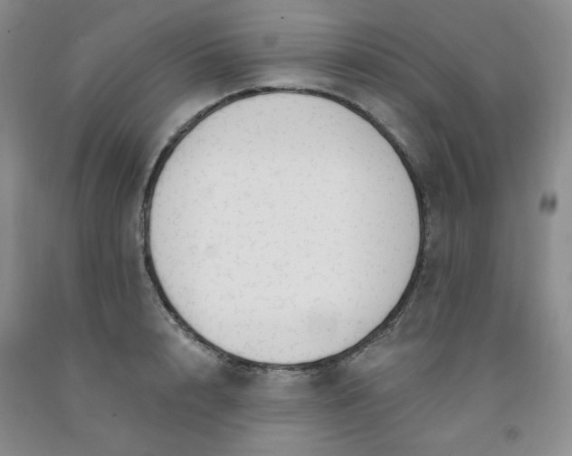 X0000091970848200709201404