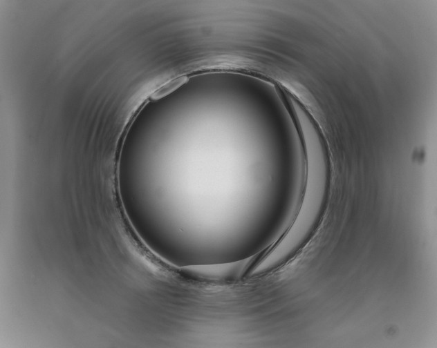 X0000091970850200709201404