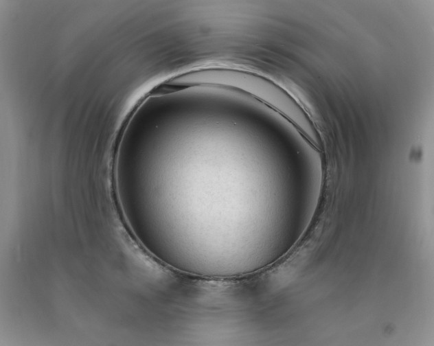 X0000091970854200709201404