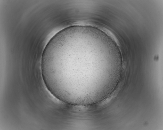 X0000091970855200709201404