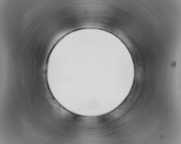 X0000091970856200709201404