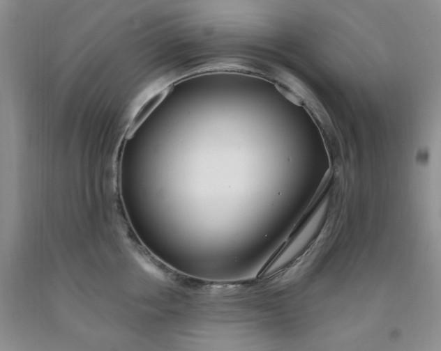 X0000091970858200709201404
