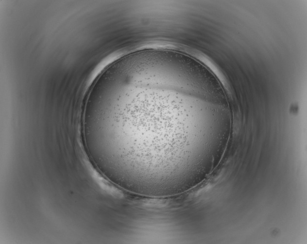 X0000091970861200709201404