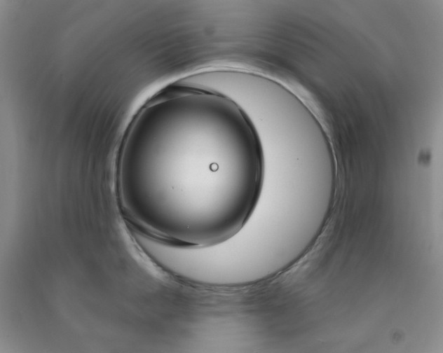 X0000091970862200709201404