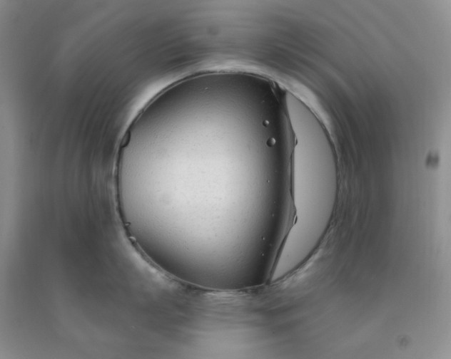 X0000091970863200709201404
