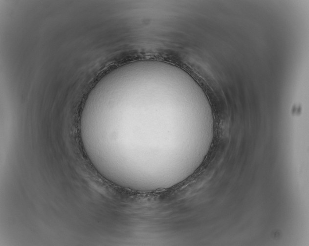 X0000091970865200709201403