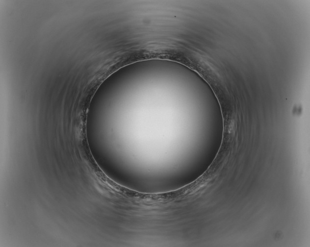 X0000091970868200709201403