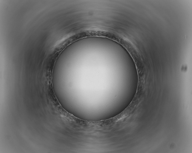 X0000091970870200709201403