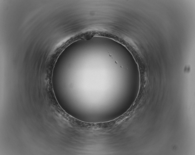 X0000091970872200709201403