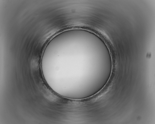 X0000091970873200709201403