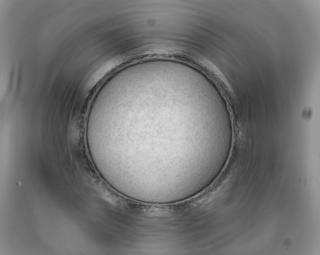 X0000091970874200709201403