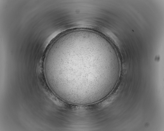 X0000091970875200709201403