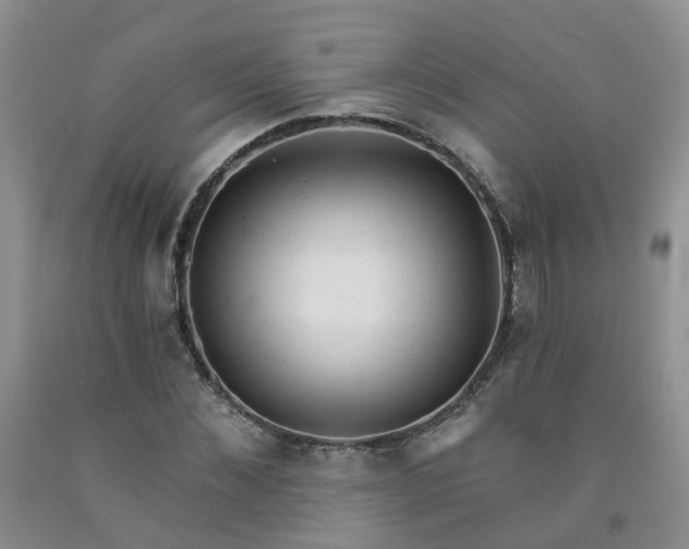 X0000091970876200709201403