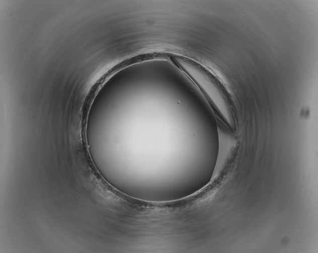 X0000091970877200709201403
