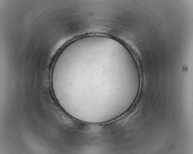 X0000091970878200709201403