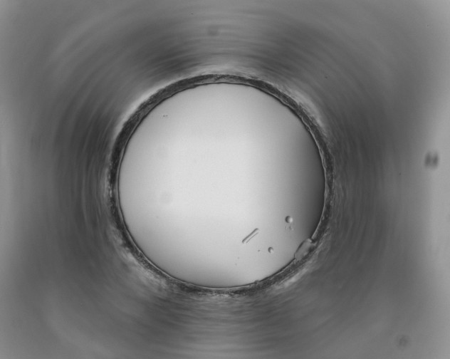 X0000091970880200709201403