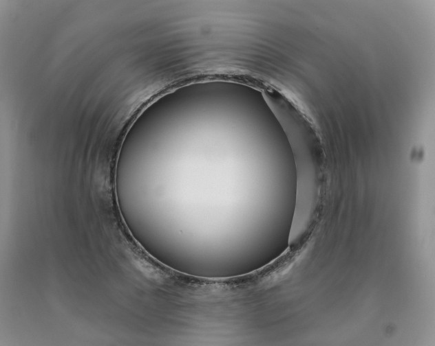 X0000091970881200709201403