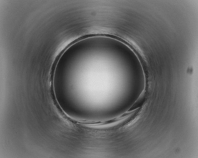 X0000091970885200709201403