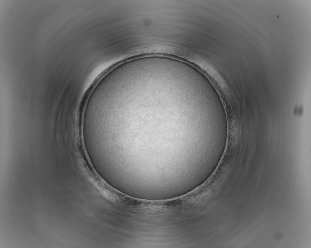 X0000091970886200709201403