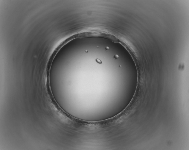 X0000091970888200709201403