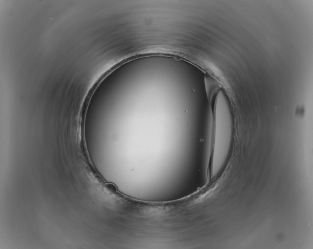 X0000091970892200709201403