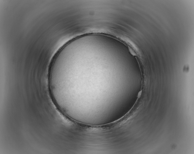 X0000091970894200709201403