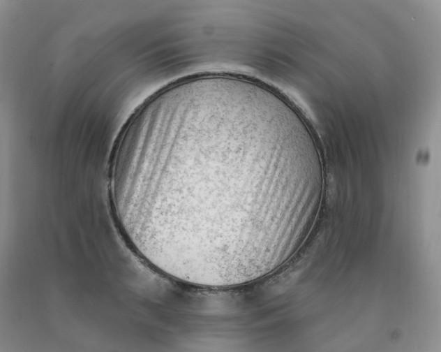 X0000091970895200709201403