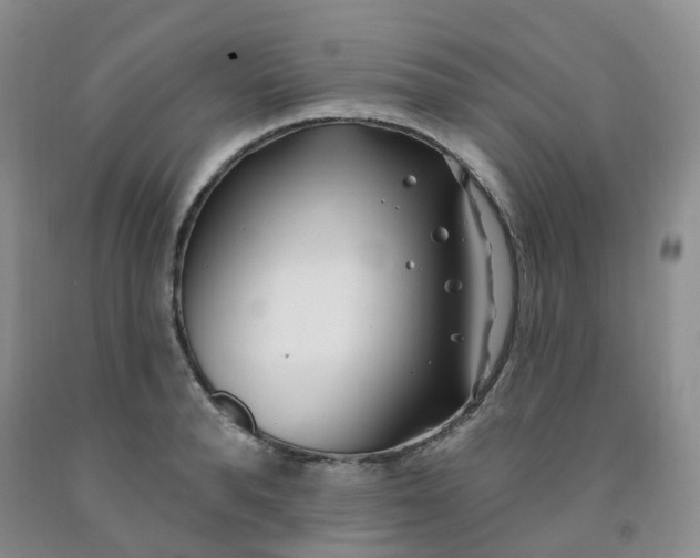 X0000091970896200709201403