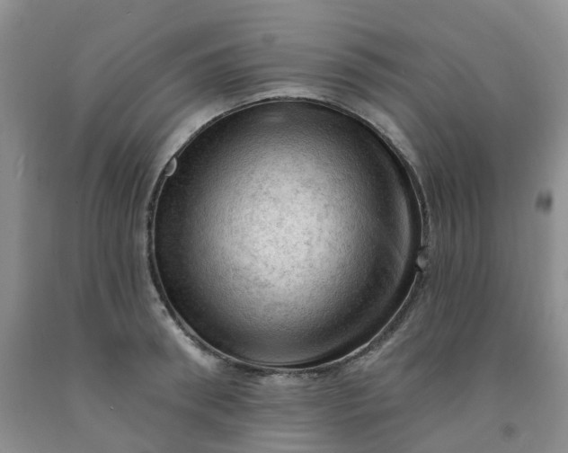 X0000091970898200709201403