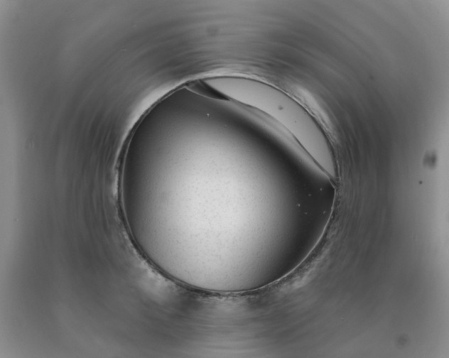 X0000091970900200709201403