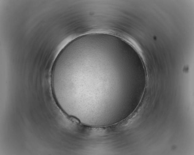 X0000091970907200709201402