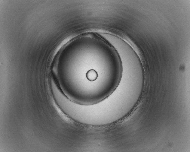 X0000091970909200709201402